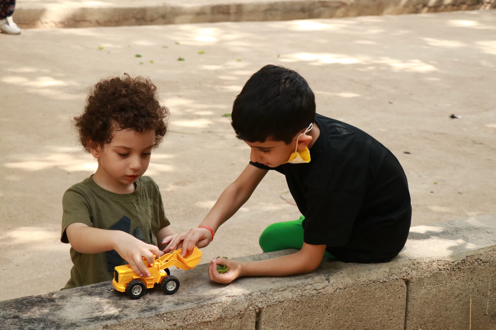 گردش علمی